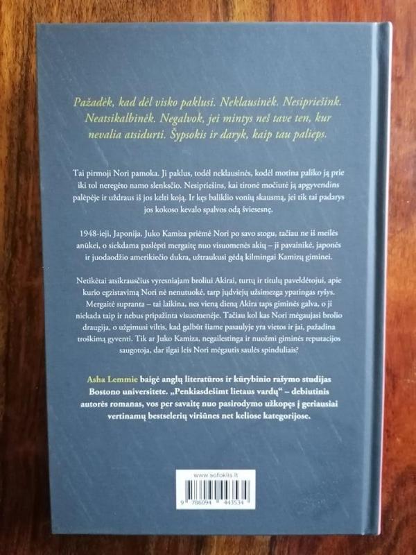 penkiasdešimt lietaus vardų - Asha Lemmie, knyga