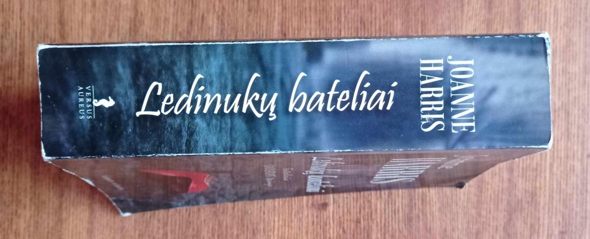 Ledinukų bateliai - Joanne Harris, knyga 4