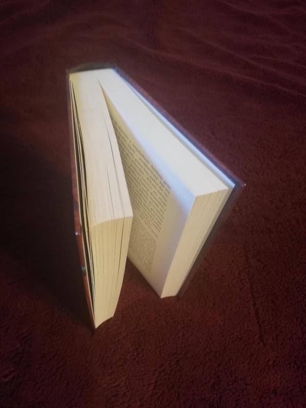 danguje kitaip - Vytautas Girdzijauskas, knyga 3