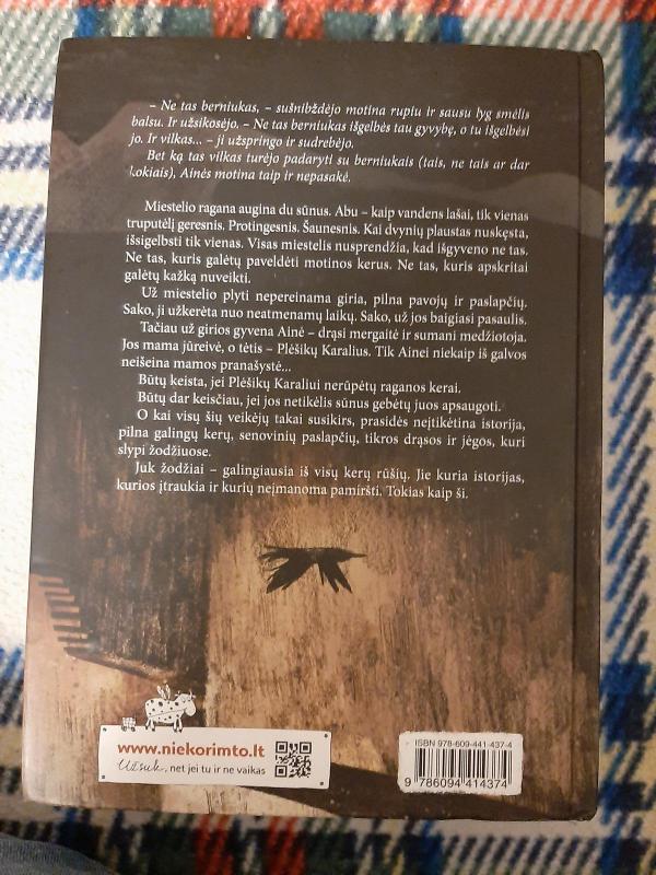 Raganos sūnus - Kelly Barnhill, knyga 2