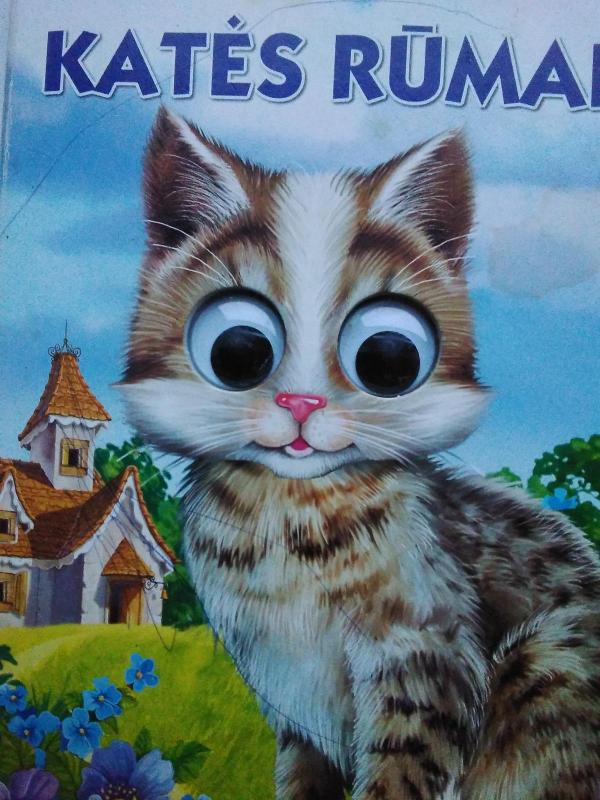 Katės rūmai: knygutė su akutėm - Liuda Petkevičiutė, knyga 3