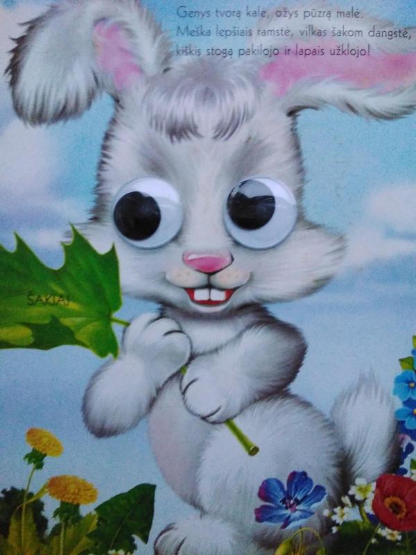 Katės rūmai: knygutė su akutėm - Liuda Petkevičiutė, knyga 2