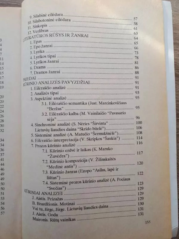 Literatūros mokslo įvado pagrindai - Valerija Ramonaitė, knyga