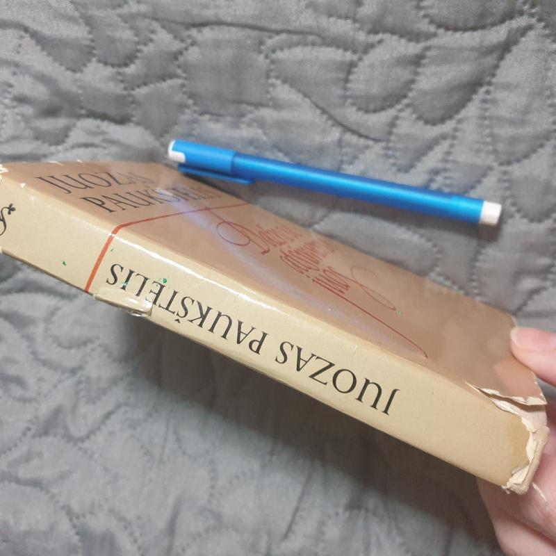 Dažnai atsimenu juos - Juozas Paukštelis, knyga 5