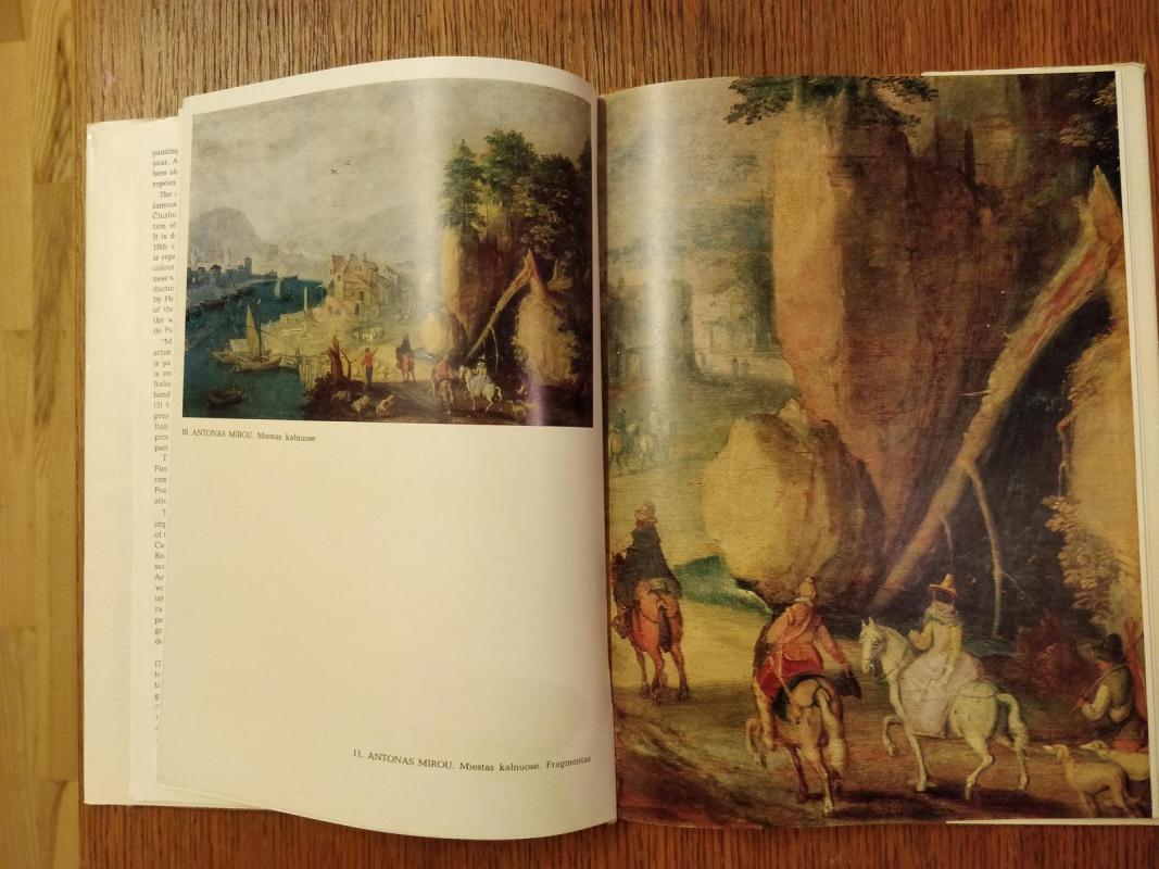 Vakarų Europos tapyba - Birutė Ziutelienė, knyga 5