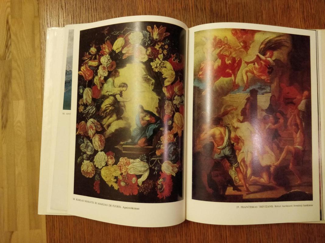 Vakarų Europos tapyba - Birutė Ziutelienė, knyga 4