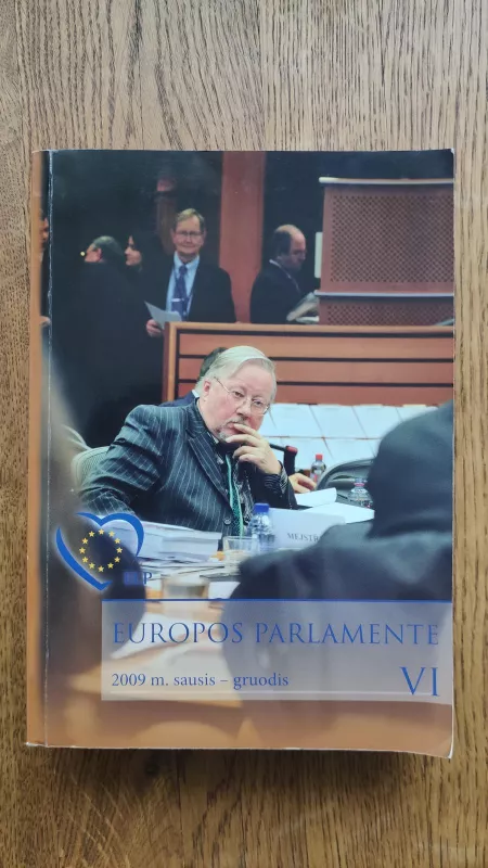 Europos parlamente (VI dalis) - Vytautas Landsbergis, knyga 3