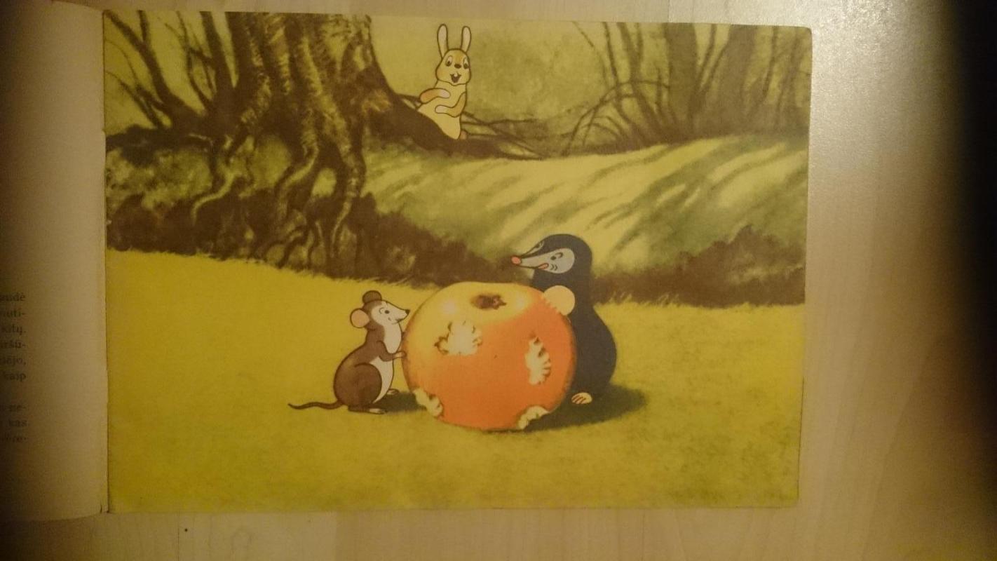 Auksiniai obuoliai - Emilis Liudvikas, Jaroslavas  Moravecas, knyga 4