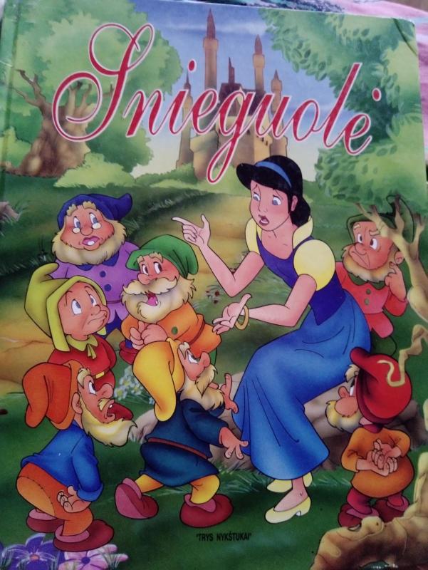 Snieguolė - Autorių Kolektyvas, knyga 4