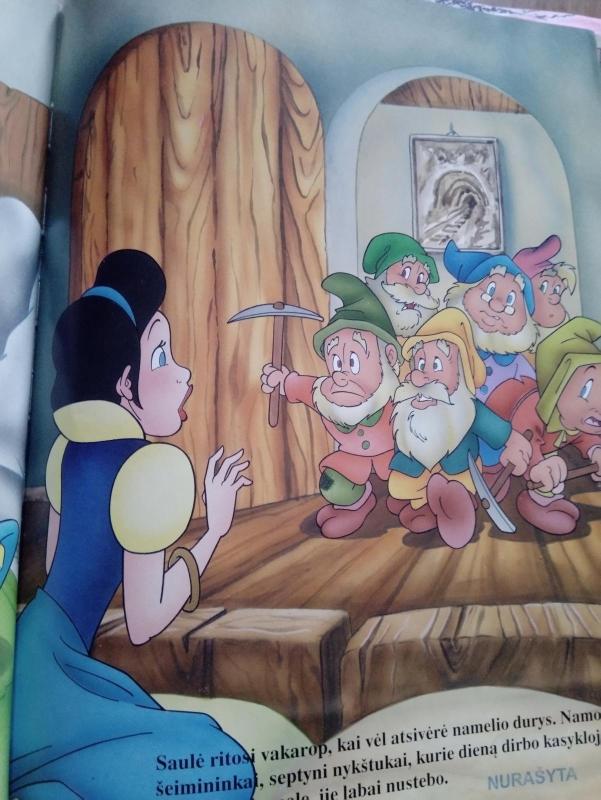 Snieguolė - Autorių Kolektyvas, knyga 3