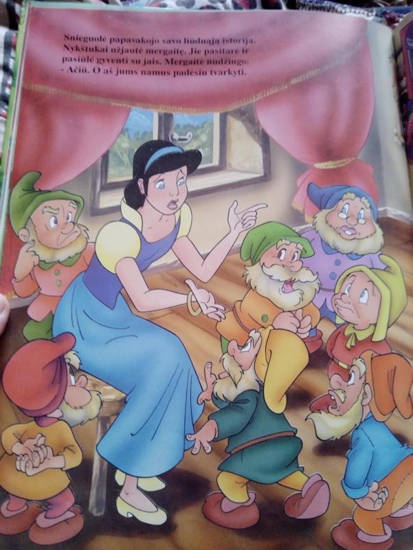 Snieguolė - Autorių Kolektyvas, knyga 2