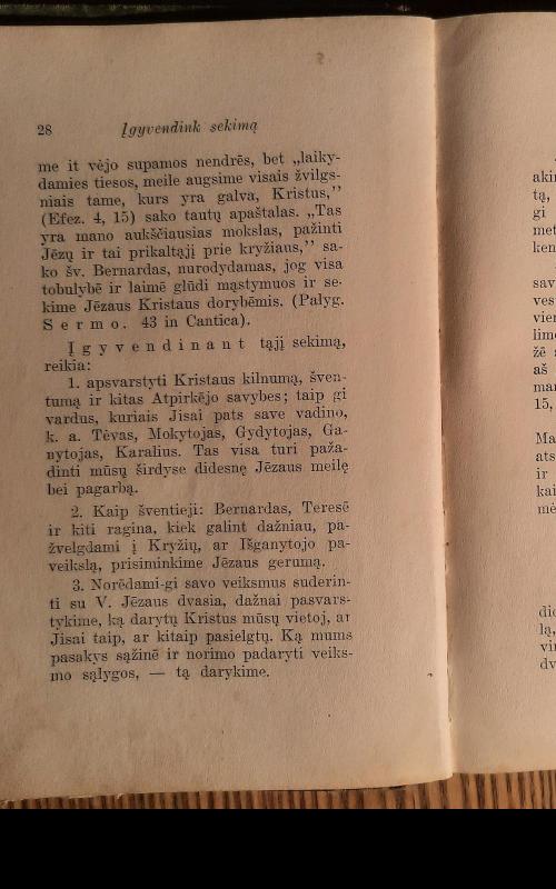 Dorybēs - Kazimieras Matulaitis, knyga 2