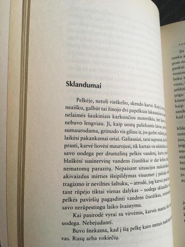 Miegas ir kitos moterys - Sigitas Parulskis, knyga 3