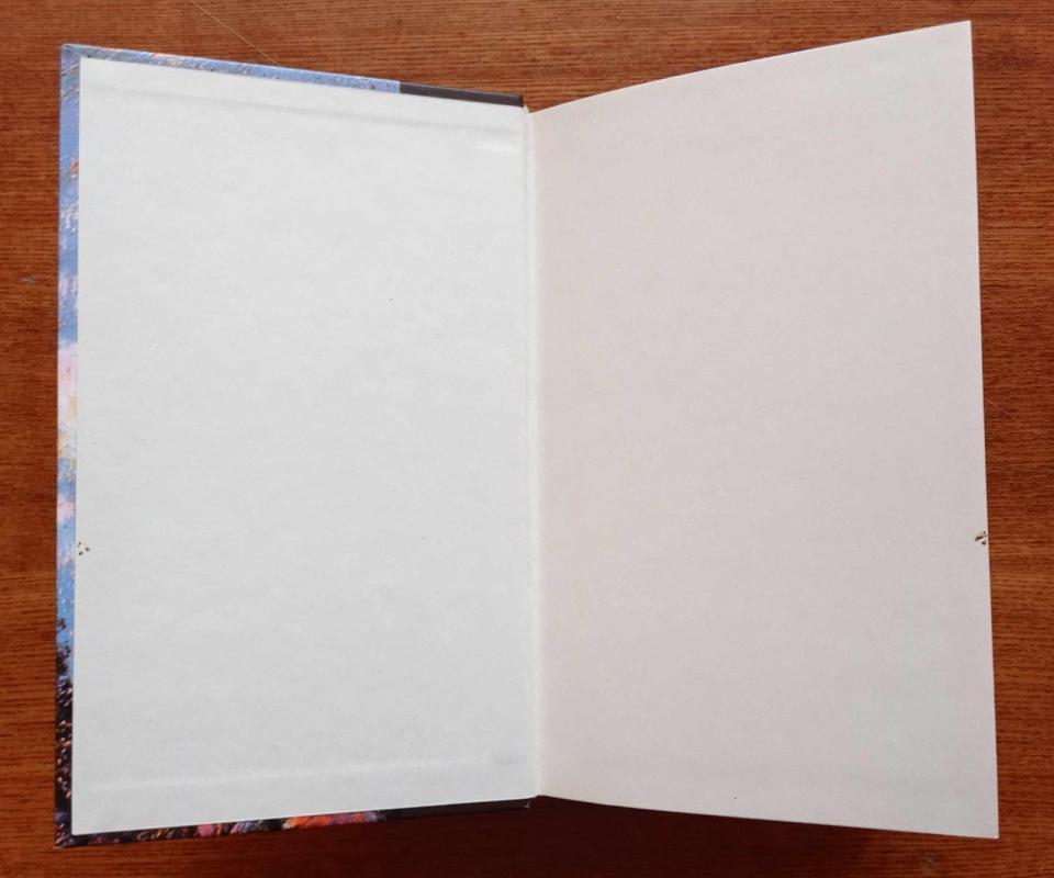 Saskijada - Brian Hall, knyga 3