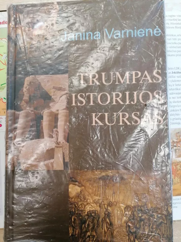 Trumpas istorijos kursas - Janina Varnienė, knyga