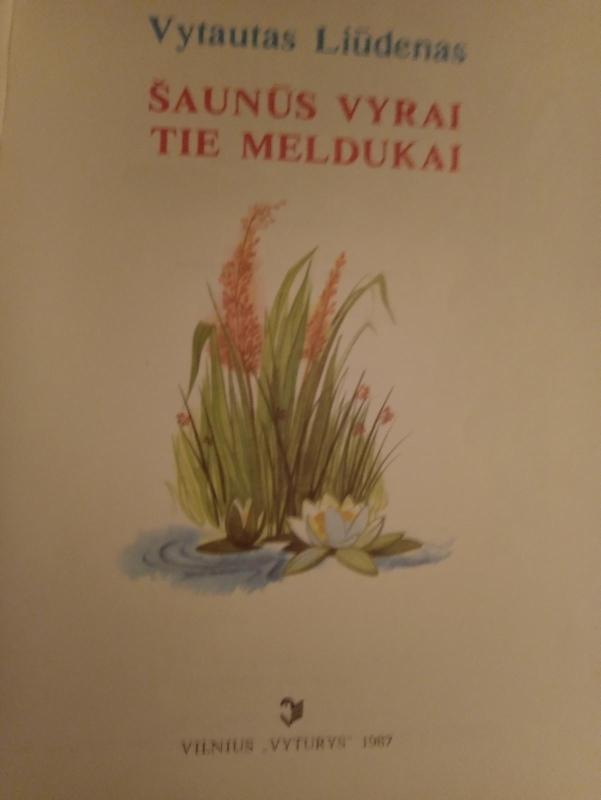 Šaunūs vyrai tie meldukai - Vytautas Liūdenas, knyga 3