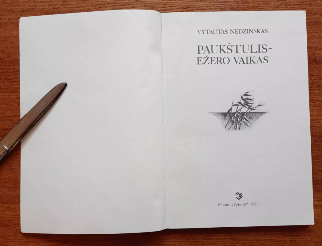 Paukštulis-ežero vaikas - Vytautas Nedzinskas, knyga 3
