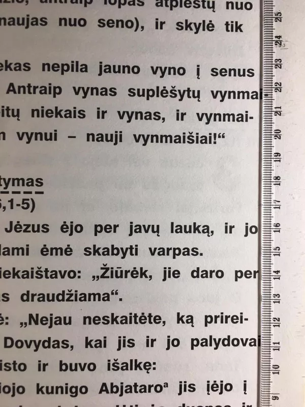 Šventasis raštas silpnaregiams - Lietuvos Biblijos Draugija, knyga 3