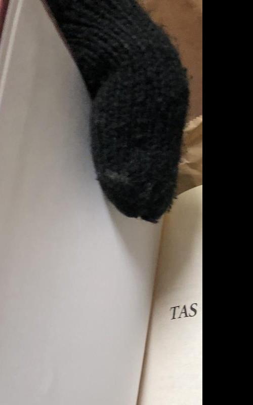 Tas nepakenčiamas Lukas. Auklė su charakteriu - Liusi Gordon, Pola  Heiton, knyga 3