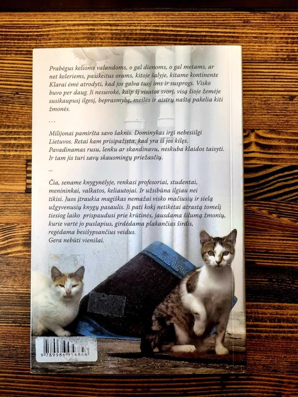 Prašau, nesudaužyk mano širdies - Indrė Jonušytė, knyga 3