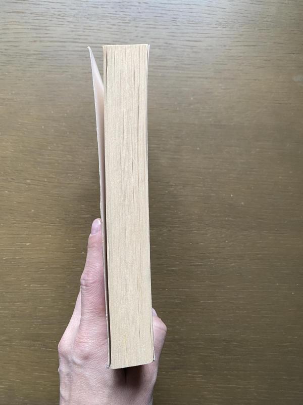 Kristina - Stephen King, knyga