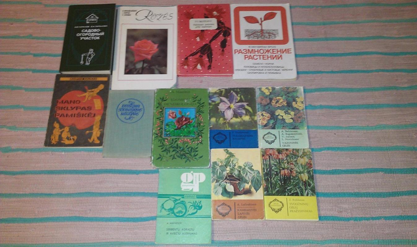 Viskas iš obuolių - K. Buožytė-Brundzienė, knyga 6