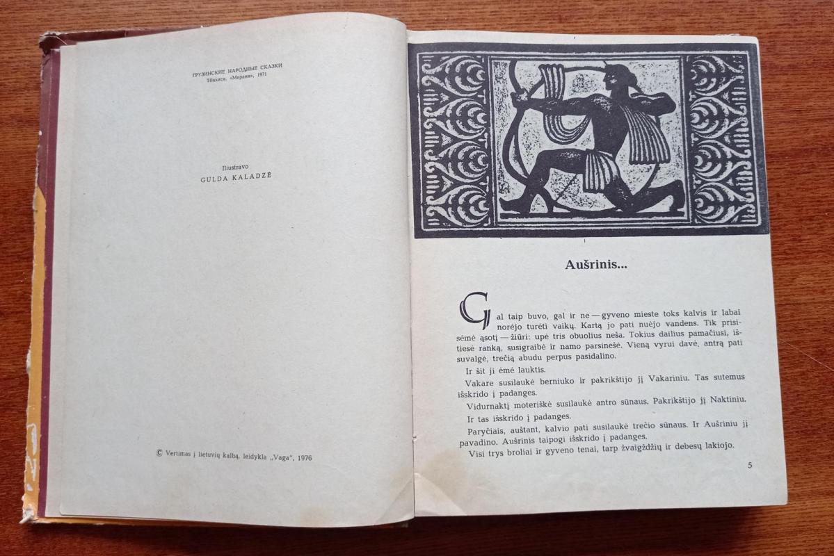 Gruzinų pasakos. Devyni broliai - Autorių Kolektyvas, knyga 5