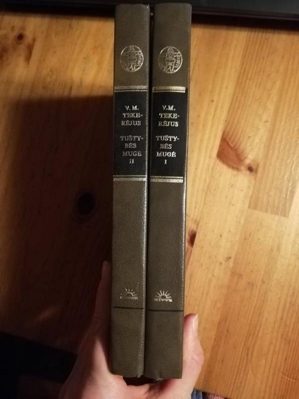 Tuštybės mugė (2 tomai) - Viljamas Meikpisas Tekerėjus, knyga 2