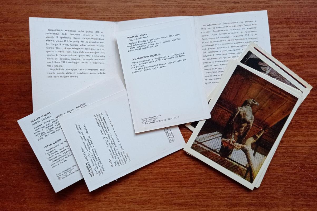 Kauno zoologijos sodas (atvirutės) 1975 - A. Andriuškevičius, G.  Beresnevičius, S.  Geda, S.  Parulskis, G.  Radvilavičiūtė, knyga 3