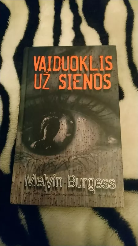 vaiduoklis uz sienos - Melvin Burgess, knyga