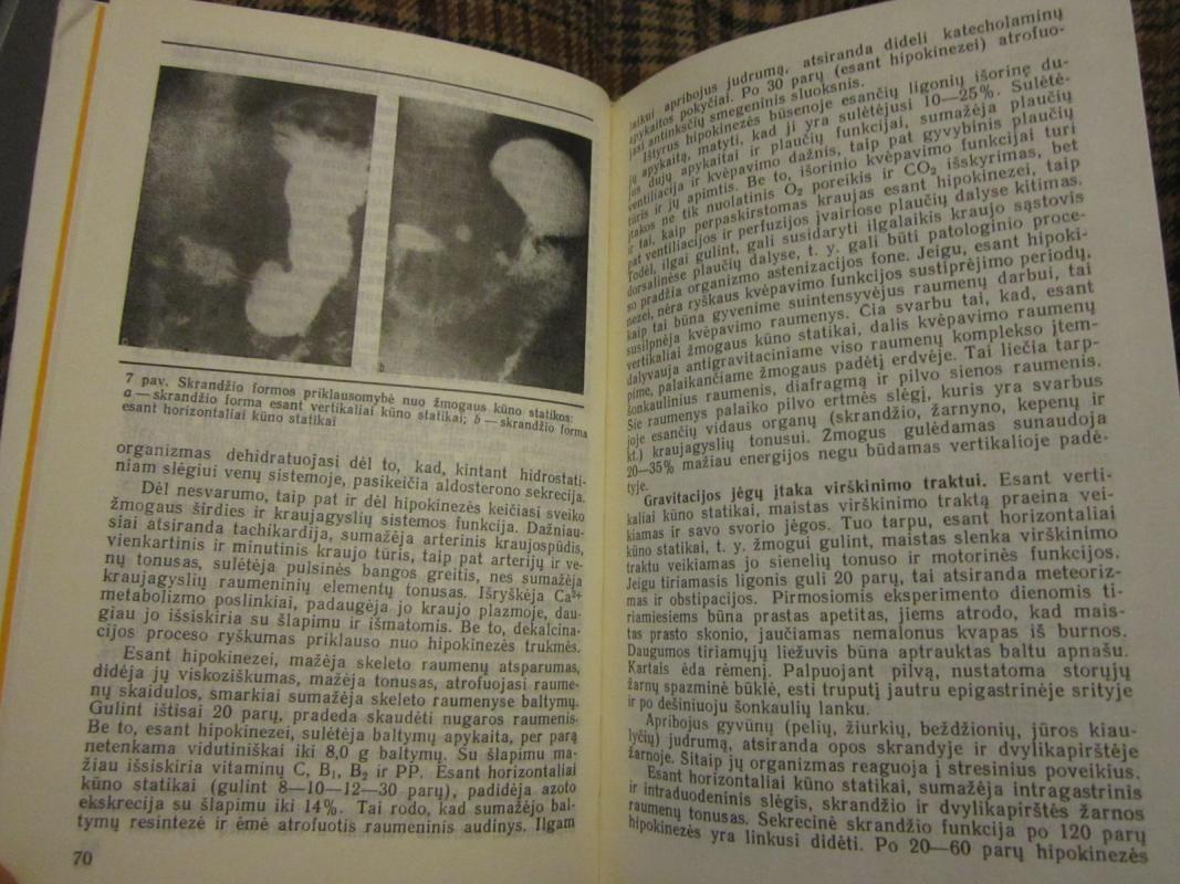 Opaligė - Autorių Kolektyvas, knyga 4