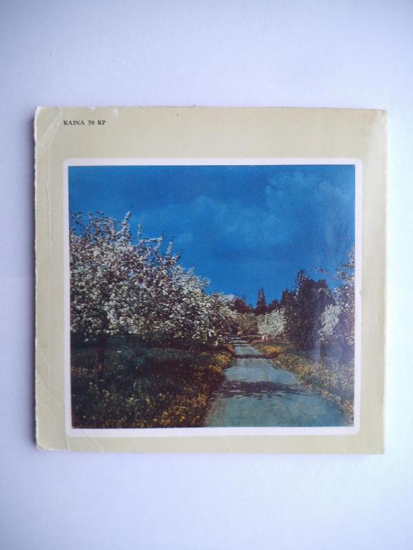 Obelynė - Algirdas Navasaitis, knyga 2