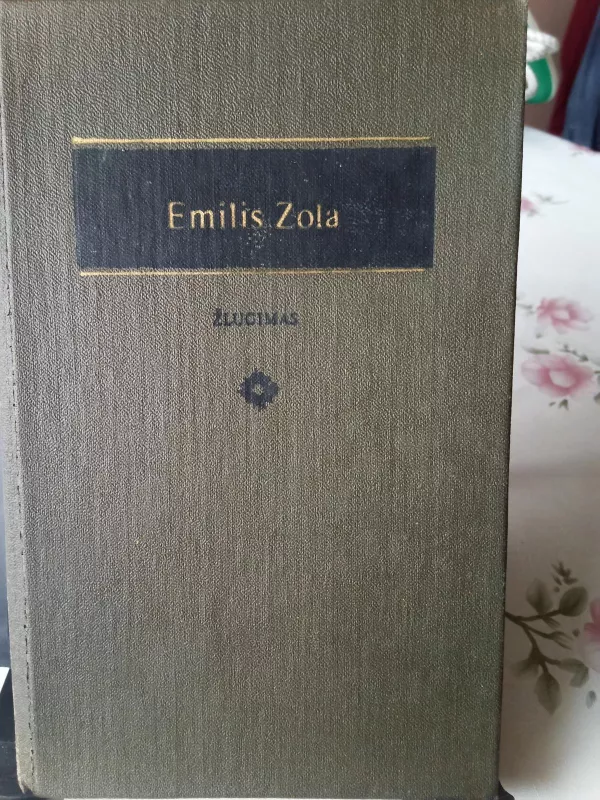 Žlugimas - Emilis Zola, knyga 2