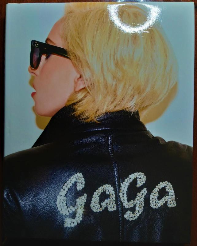 Lady Gaga: oficialus fotografijų albumas - Terry Richardson, knyga 5