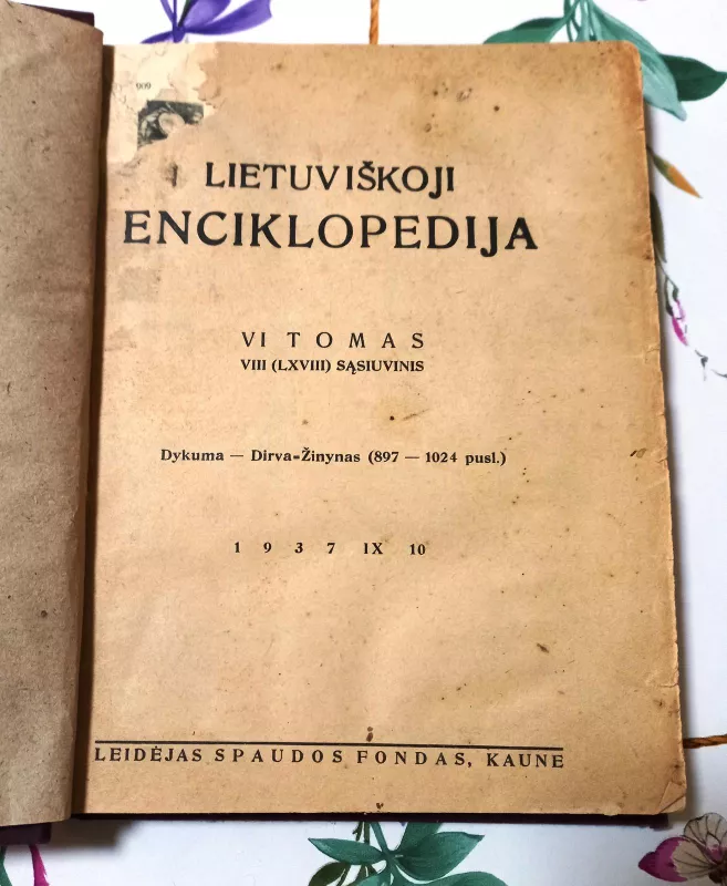 Lietuviškoji enciklopedija. VI tomas - Vaclovas Biržiška, knyga 3