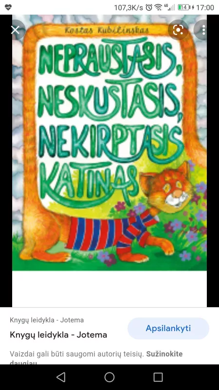 Nepraustasis, neskustasis, nekirptasis katinas - Kostas Kubilinskas, knyga
