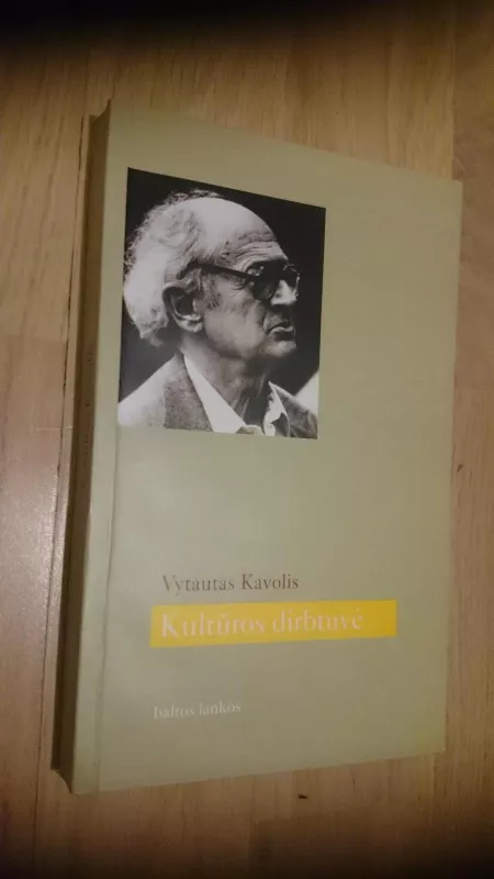 Kultūros dirbtuvė - Vytautas Kavolis, knyga