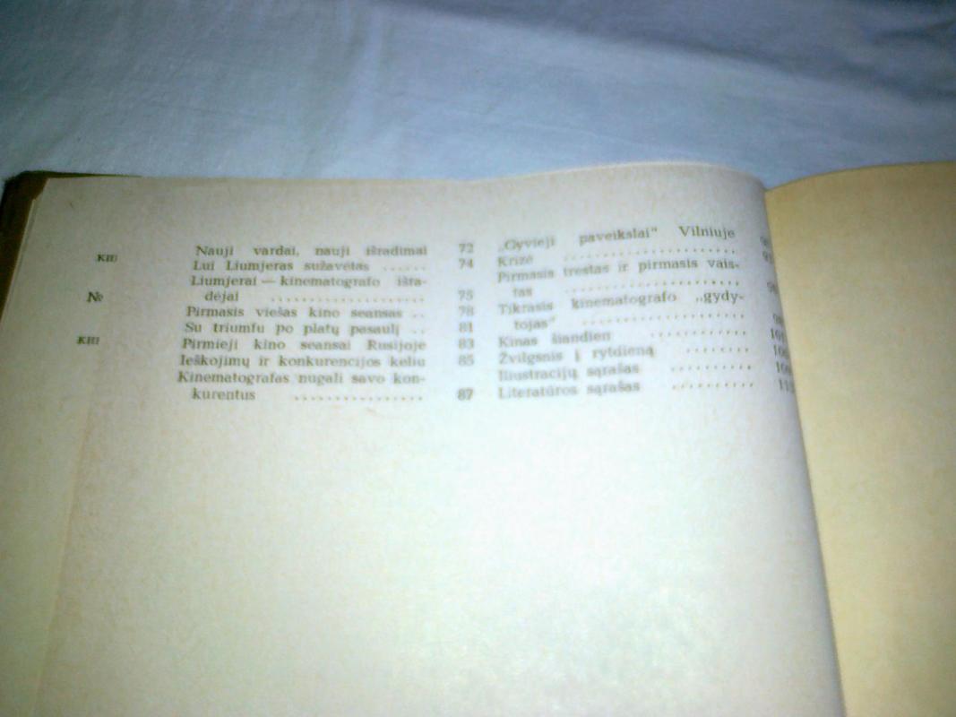 Trumpa, bet nuostabi istorija - Vytautas Mikalauskas, knyga