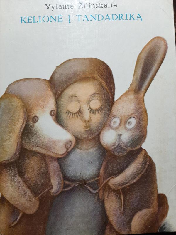 Kelionė į Tandadriką - Vytautė Žilinskaitė, knyga 3