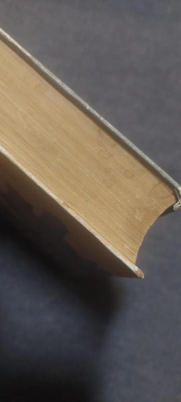 Senoji pilis ( I dalis) - V. Beliajevas, knyga 3