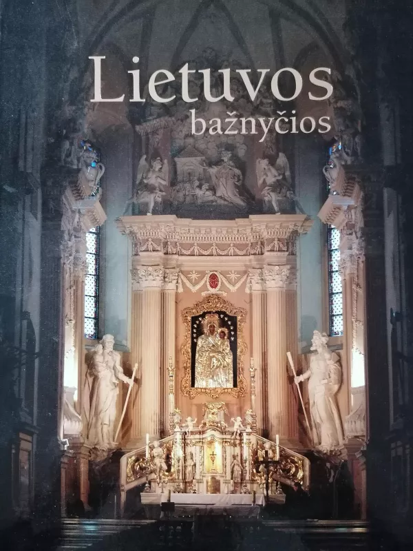 Lietuvos Bažnyčios - Rūta Janonienė, knyga 5