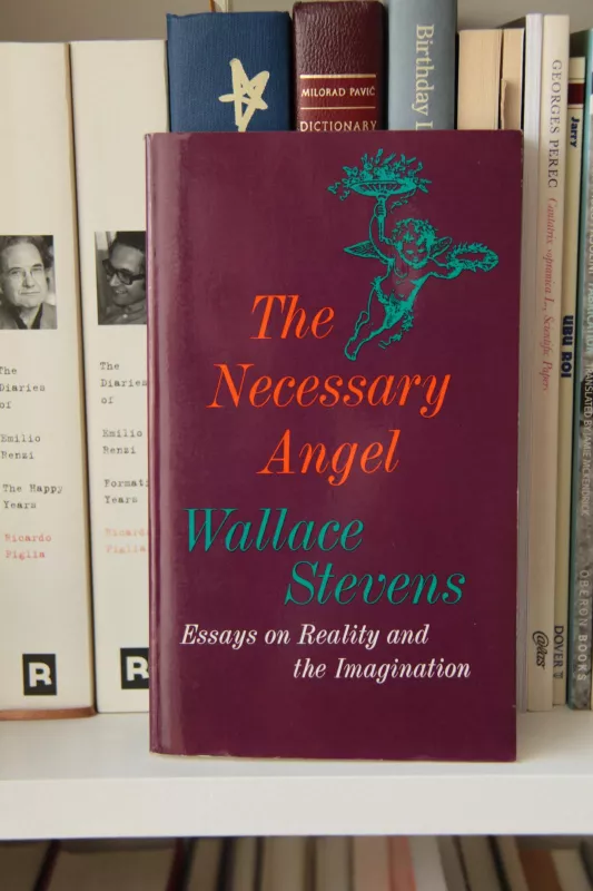 Necessary Angel: Essays on Reality and the Imagination - Wallace Stevens, knyga 3