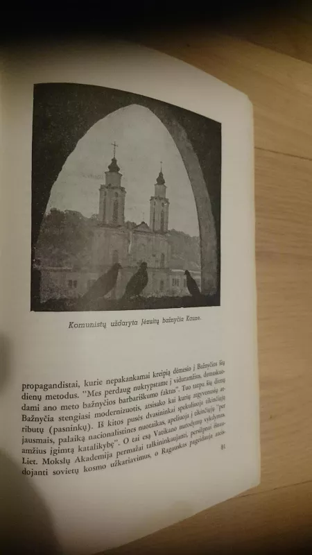 Kova prieš Dievą Lietuvoje - J. Savasis, knyga 2