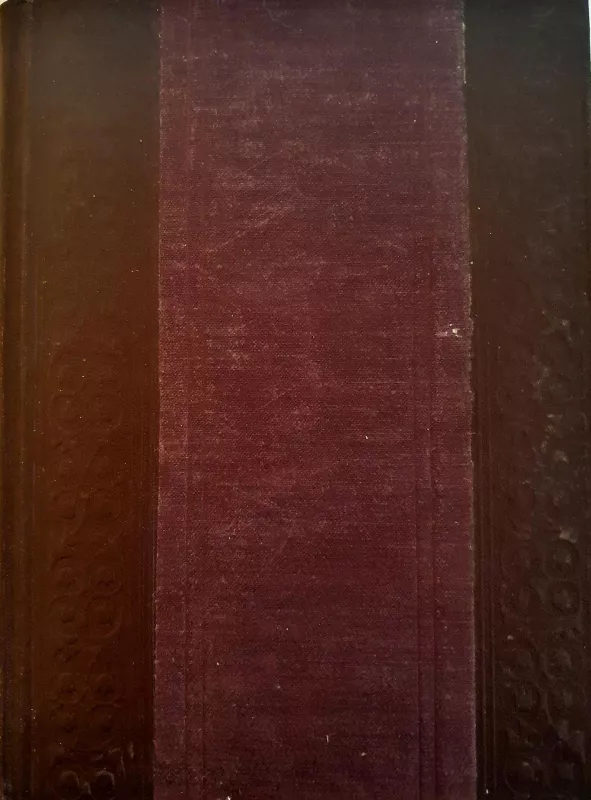 Raštai (3 knyga) - I. Turgenevas, knyga