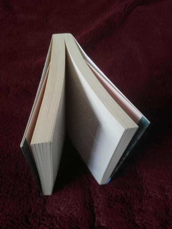 Gunterio žiema - Juan Manuel Marcos, knyga 3