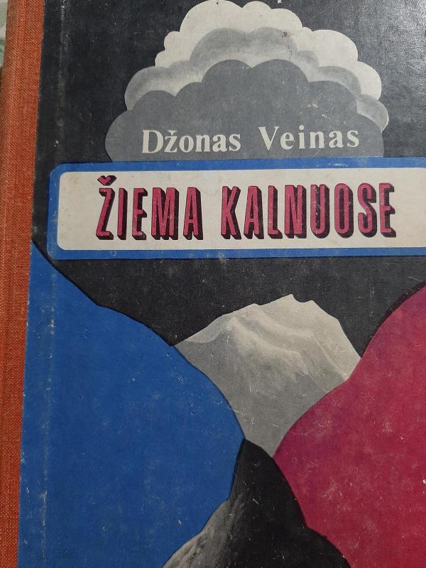 Žiema kalnuose - Džonas Veinas, knyga 3