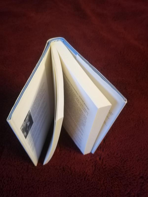 Žvaigždės spindi danguje - Sidney Sheldon, knyga 3