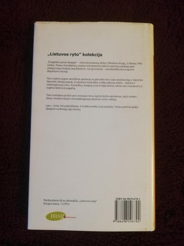 Žvaigždės spindi danguje - Sidney Sheldon, knyga 2