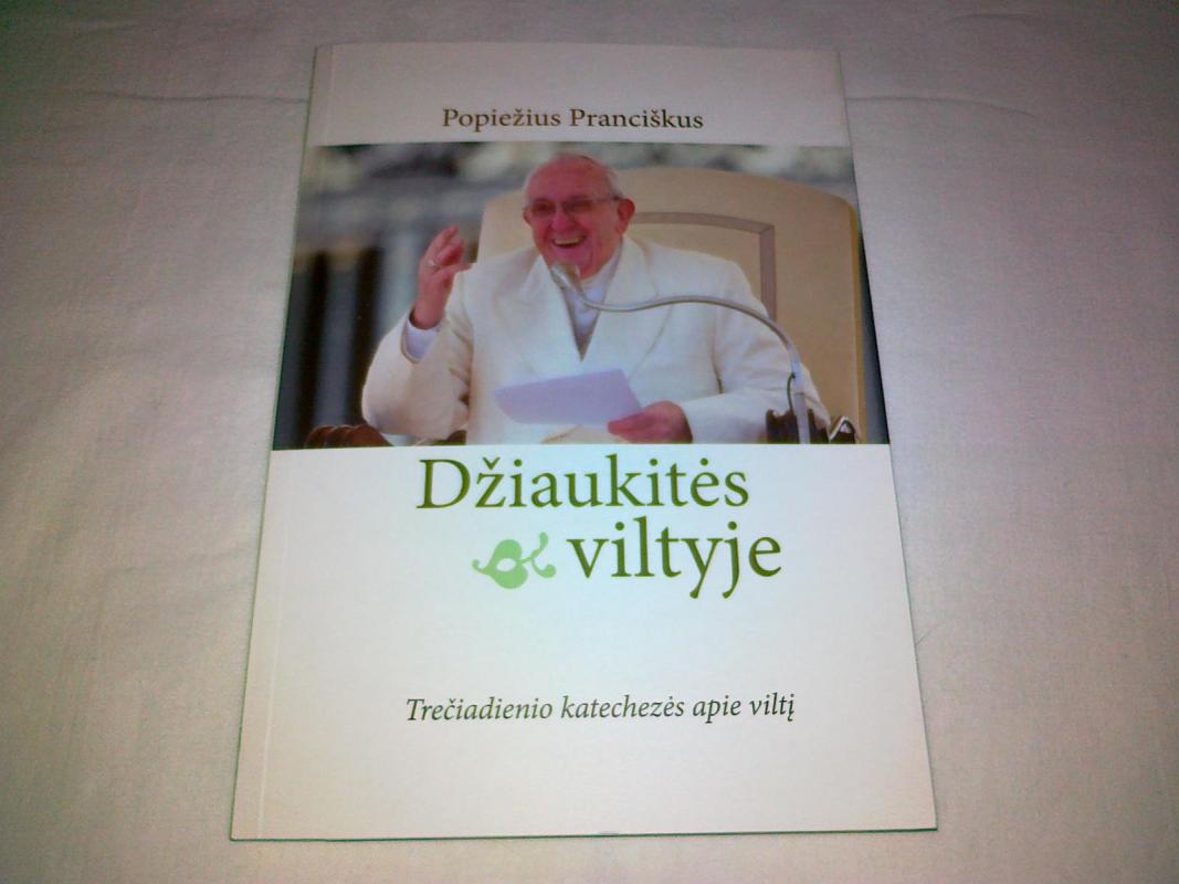 Džiaukitės viltyje. Trečiadienio katechezės apie viltį - Pranciškus Popiežius, knyga 3