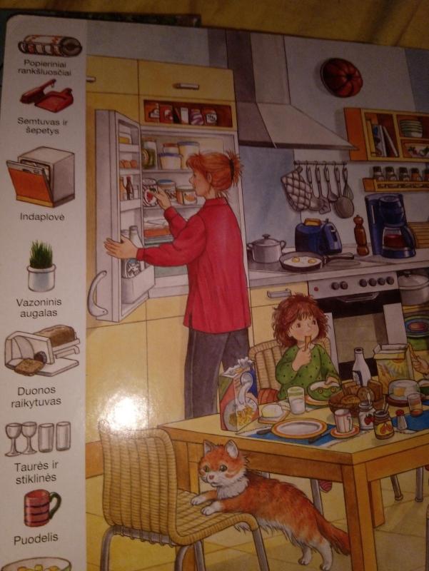 Mano didžioji paveikslėlių knyga namie - Autorių Kolektyvas, knyga 2